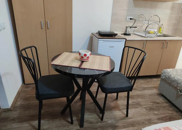 Lejlighed Elizabeta Sokobanja