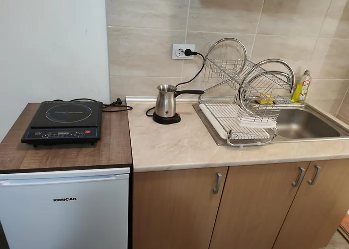 Lejlighed Elizabeta Sokobanja