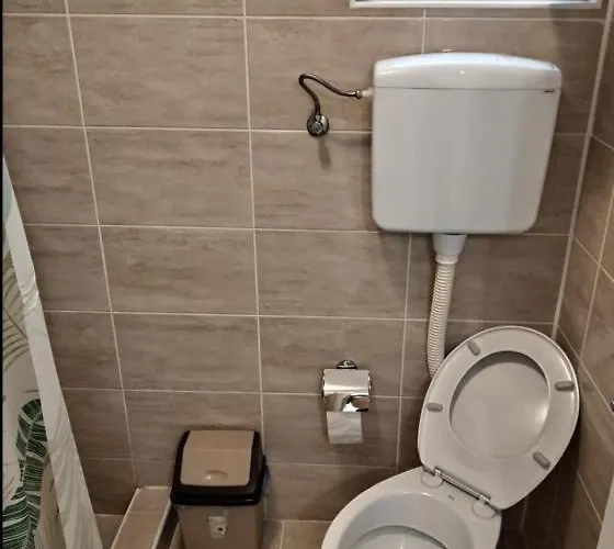 Elizabeta Lejlighed Sokobanja